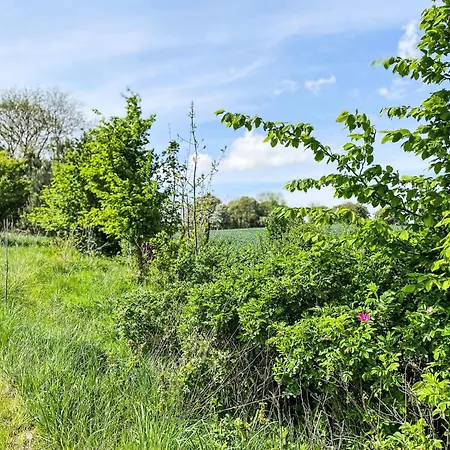 Eschengrund By Interhome * Alt Karin