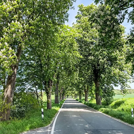 Eschengrund By Interhome * Alt Karin